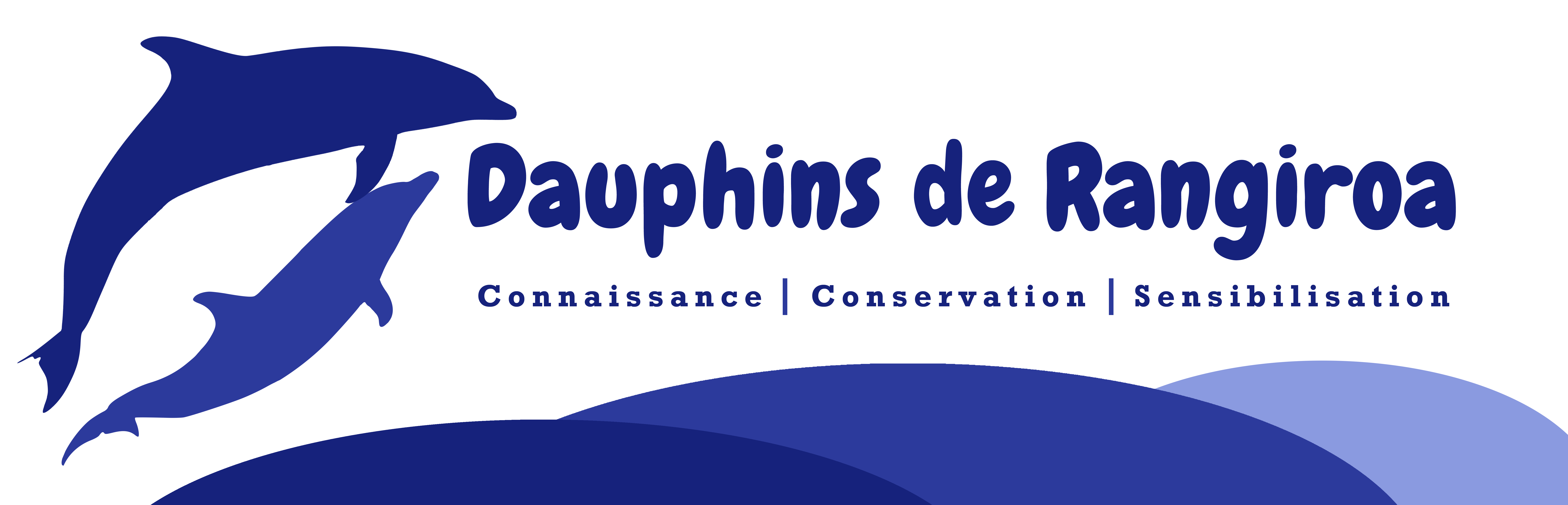 Logo ddr