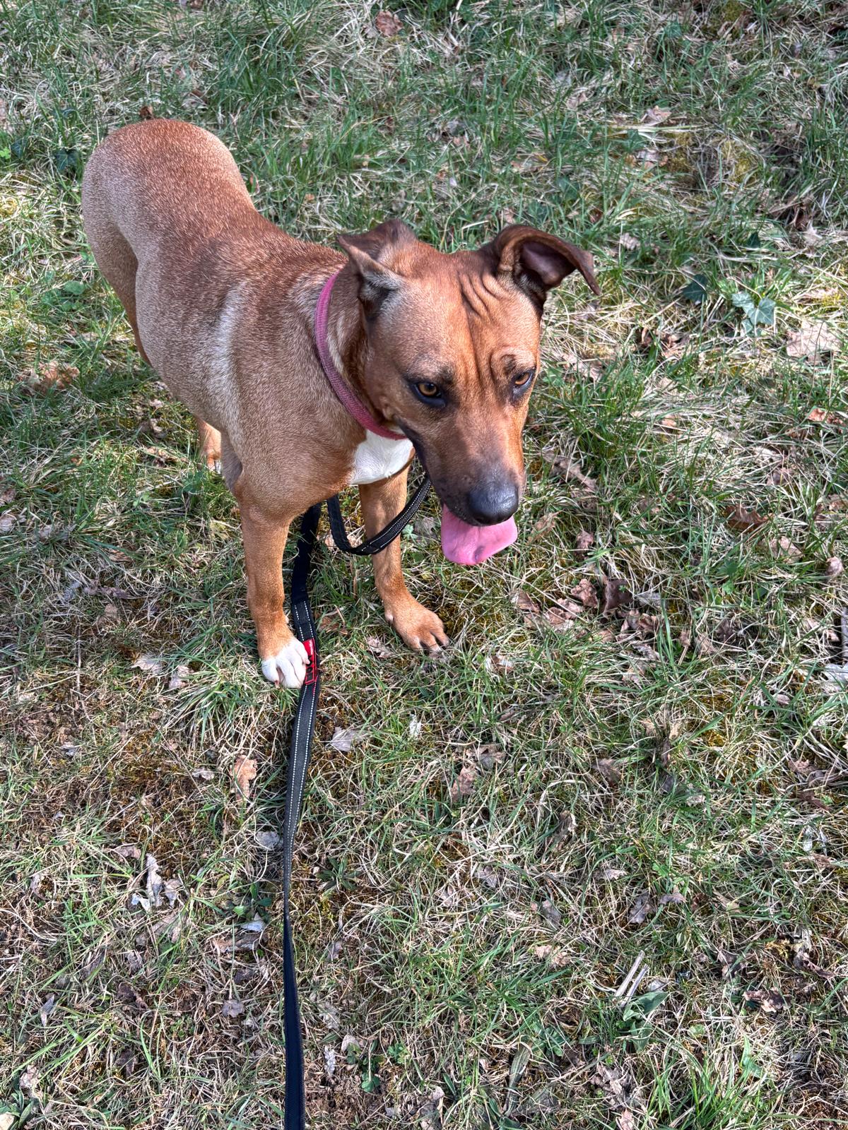 Whatsapp image 2025 03 19 at 19 24 04