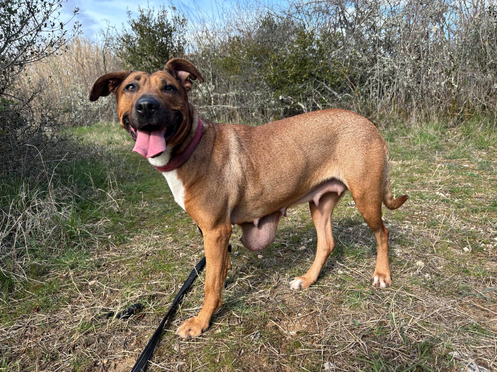 Whatsapp image 2025 03 19 at 19 24 01