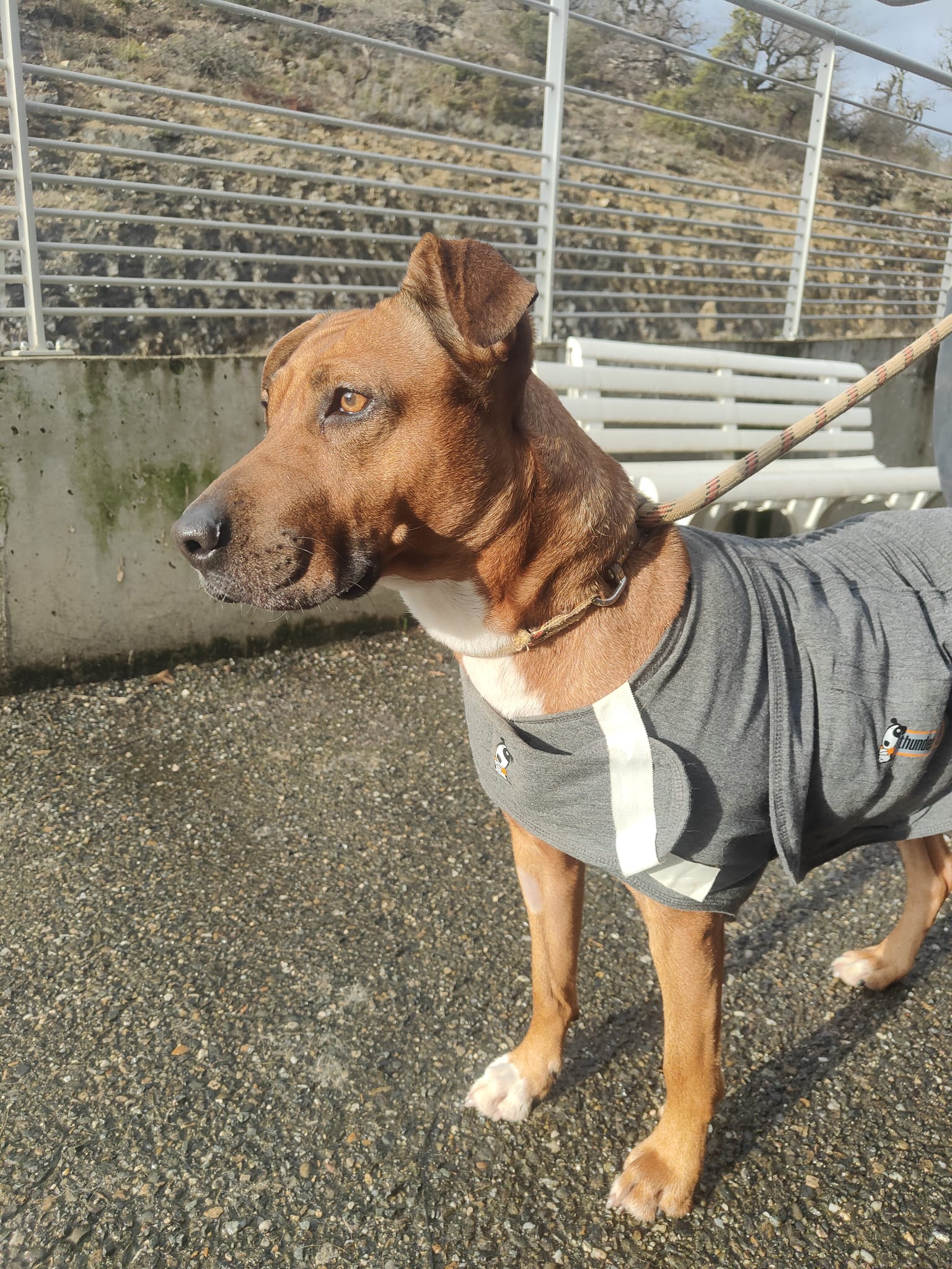 Whatsapp image 2025 03 22 at 18 45 36