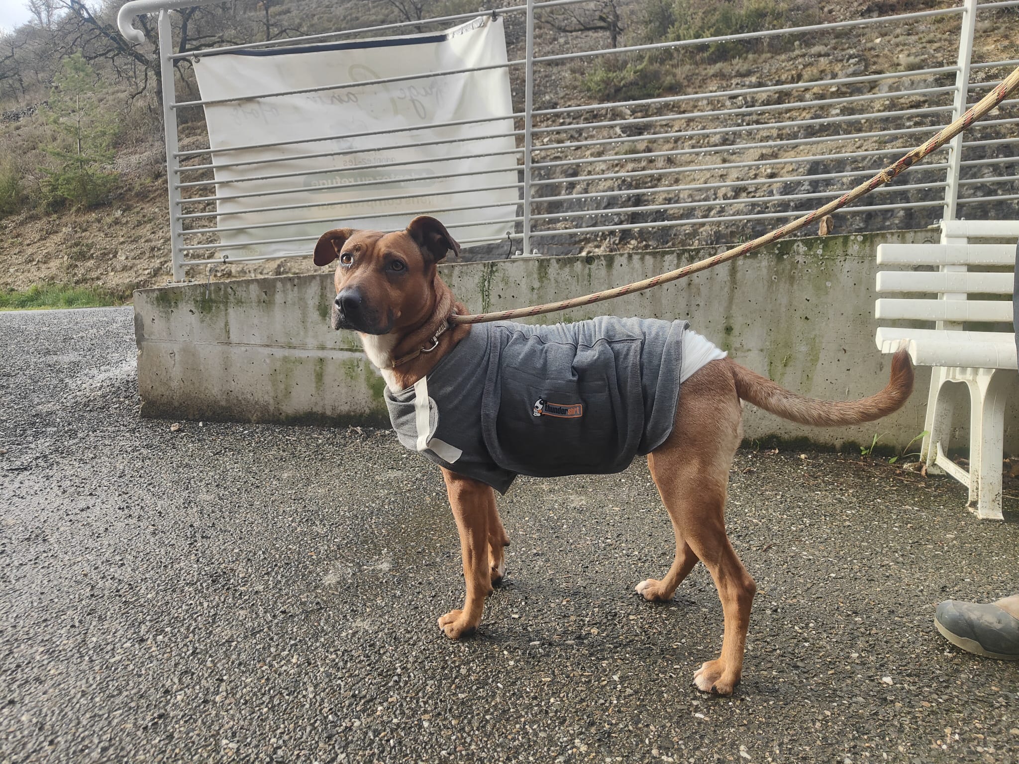 Whatsapp image 2025 03 22 at 18 45 35