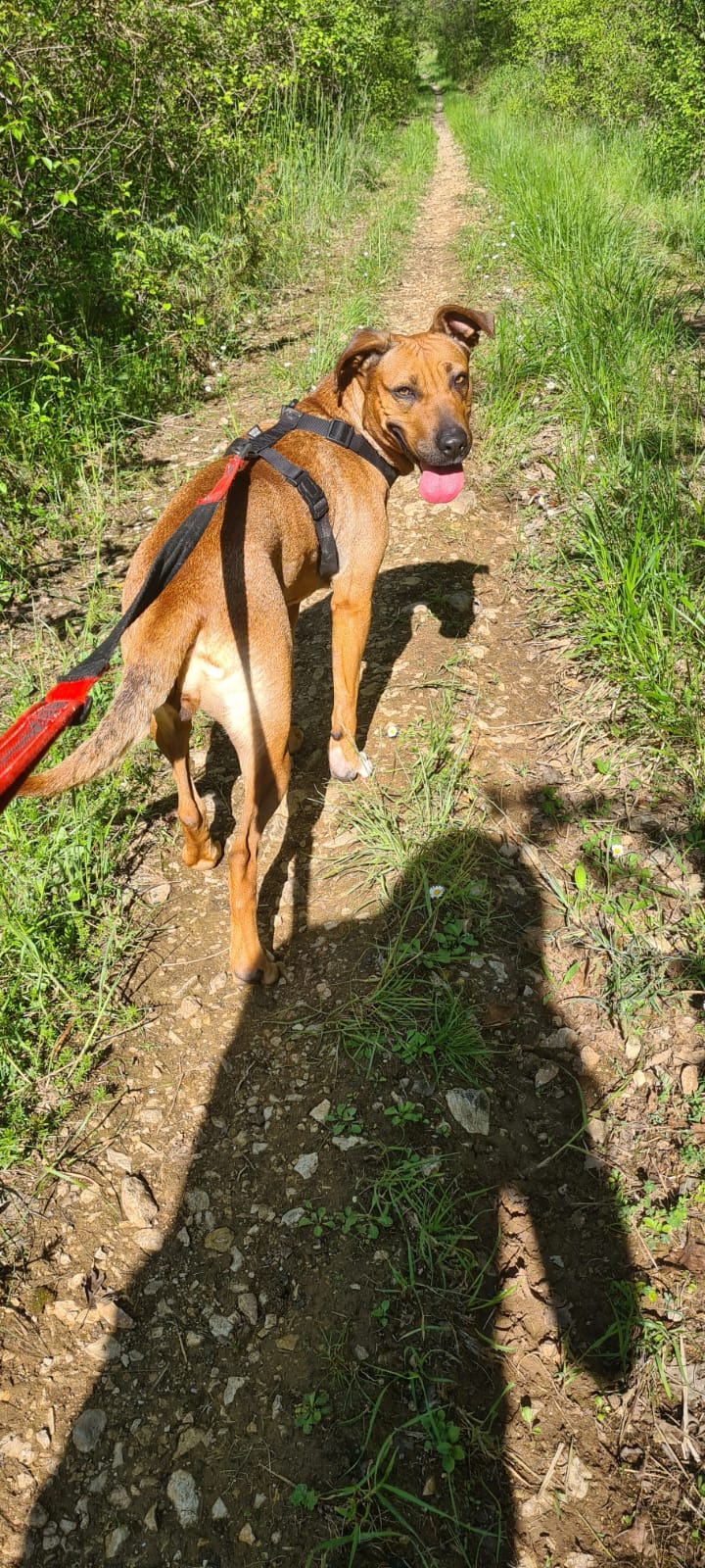 Whatsapp image 2025 04 25 at 17 34 45