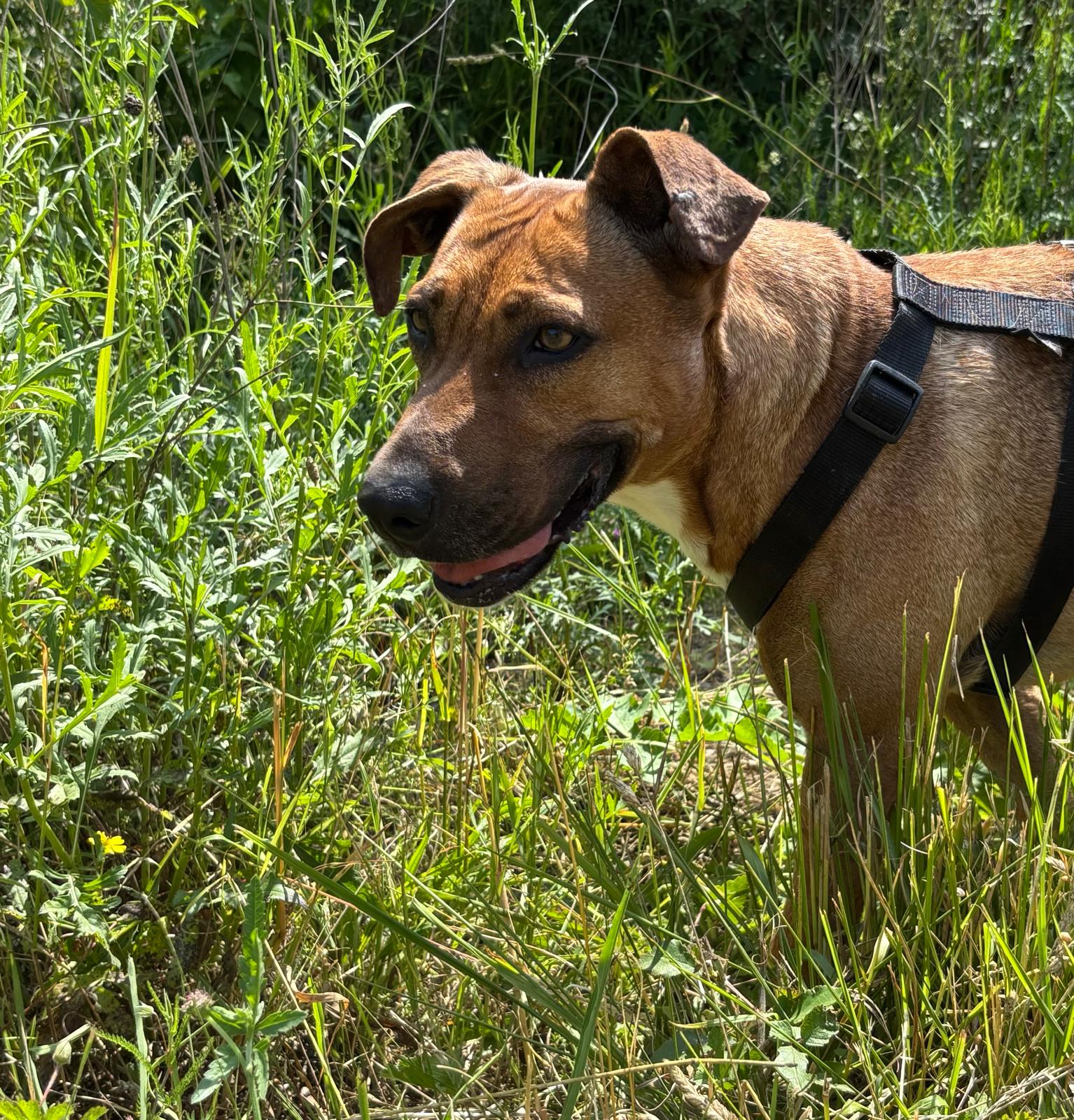 Whatsapp image 2025 06 11 at 21 30 11