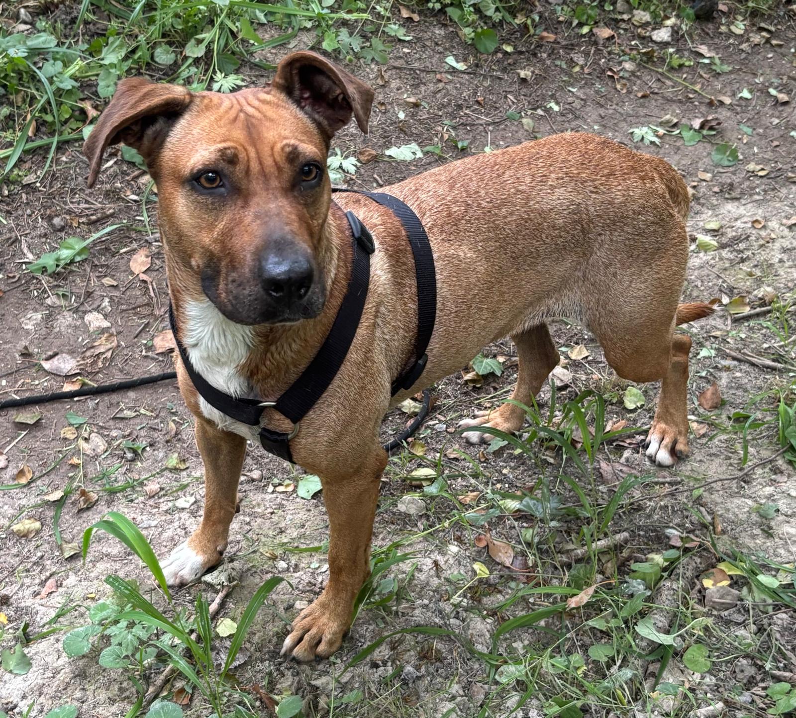 Whatsapp image 2025 06 14 at 17 33 49