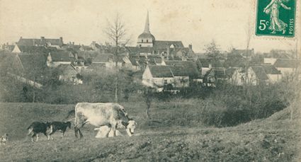 Banniere vue panoramique