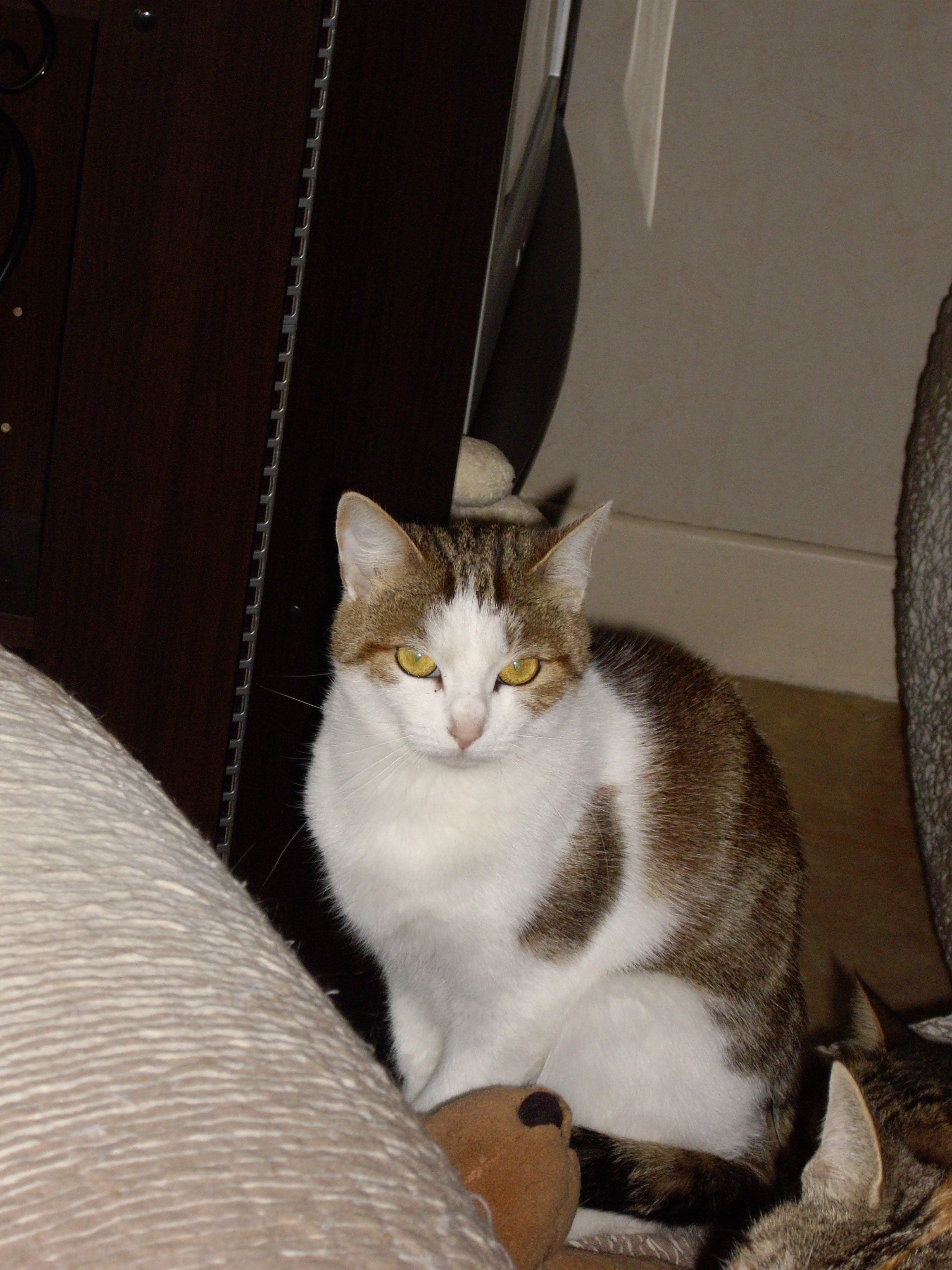 Imgp0563