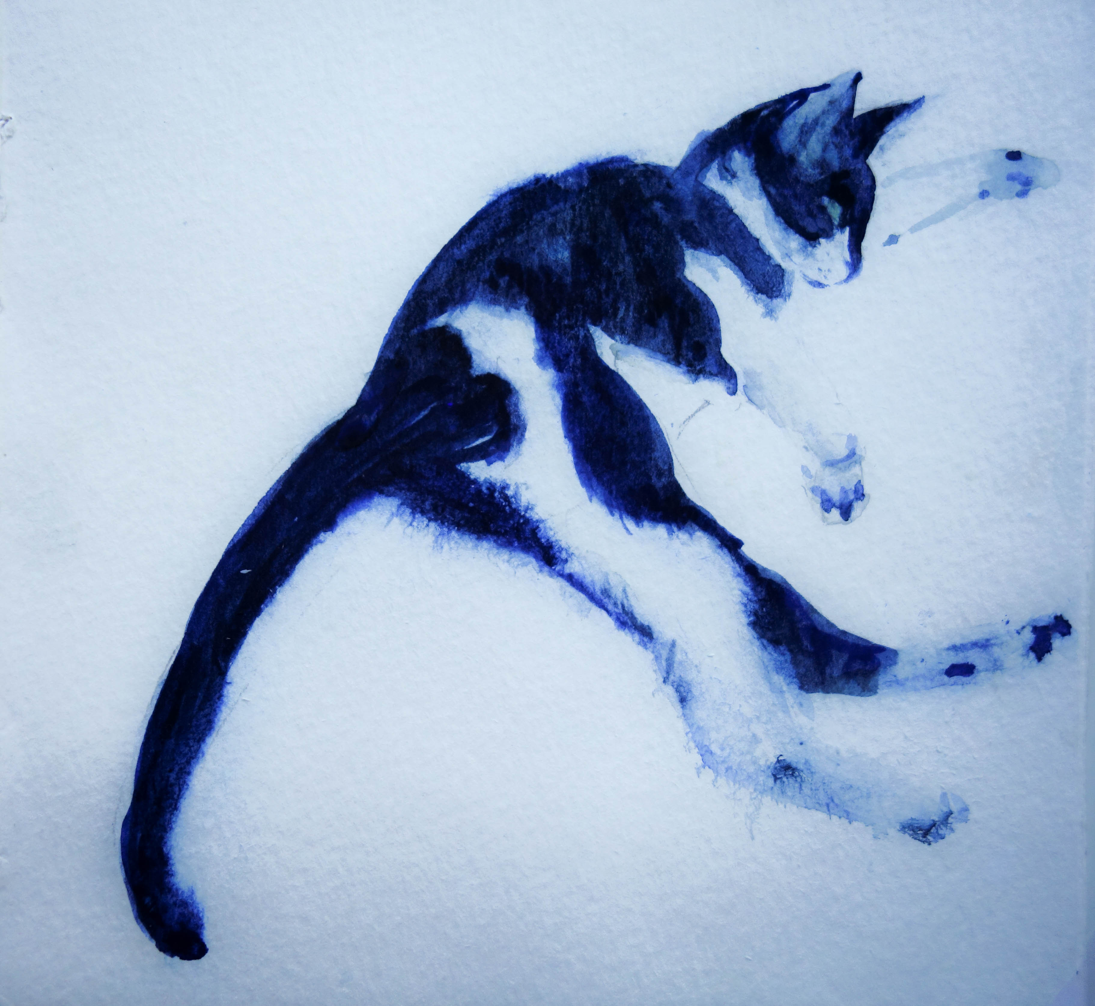 Chat. Aquarelle. 