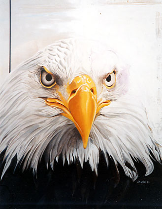 Aigle 1 