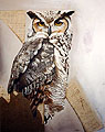 Vhibou 1 