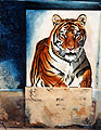 Vtigre 1 