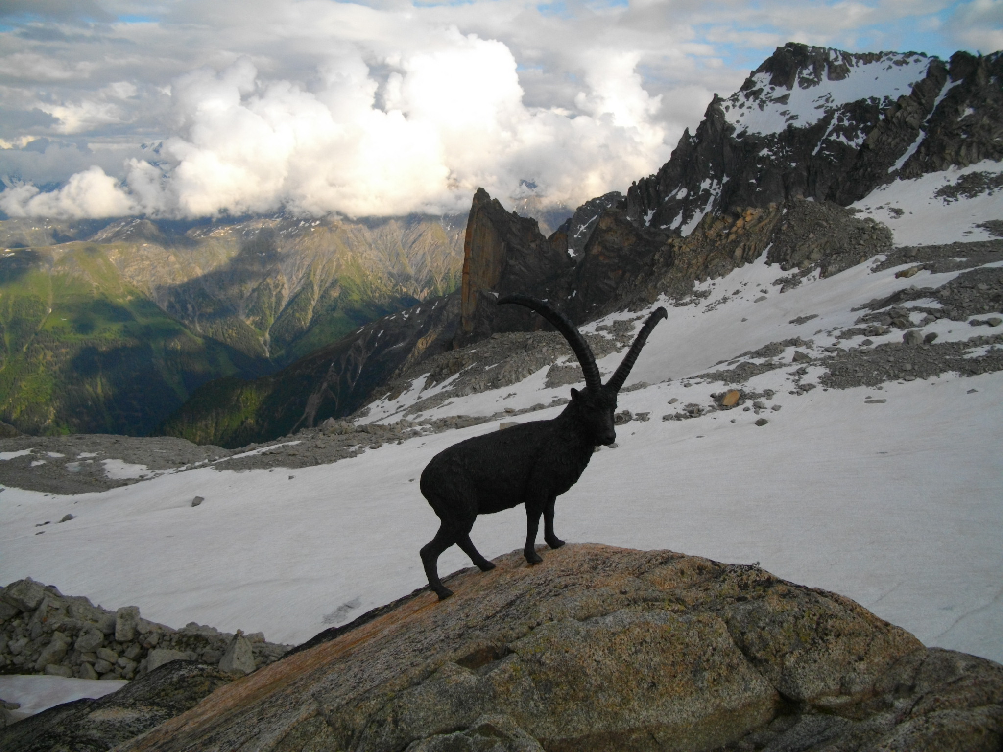 Alpes juin 191