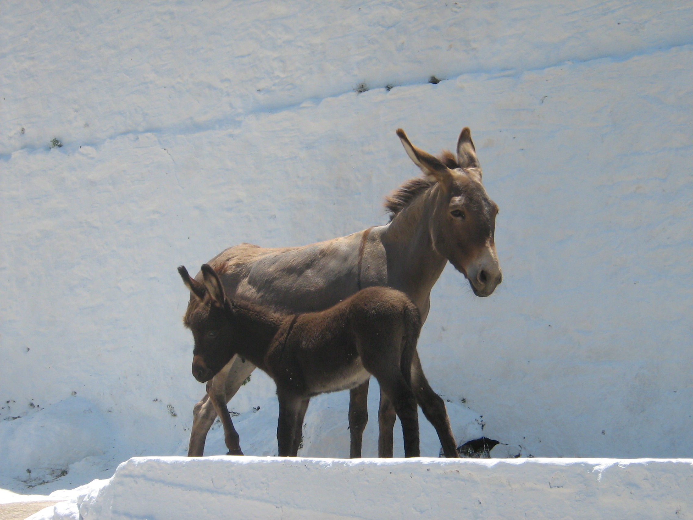 Grece 084