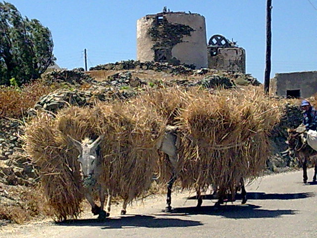 Grece 361
