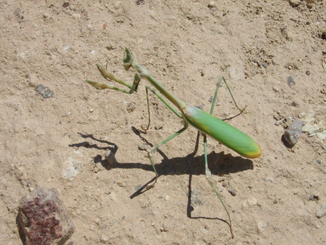 Img 0226