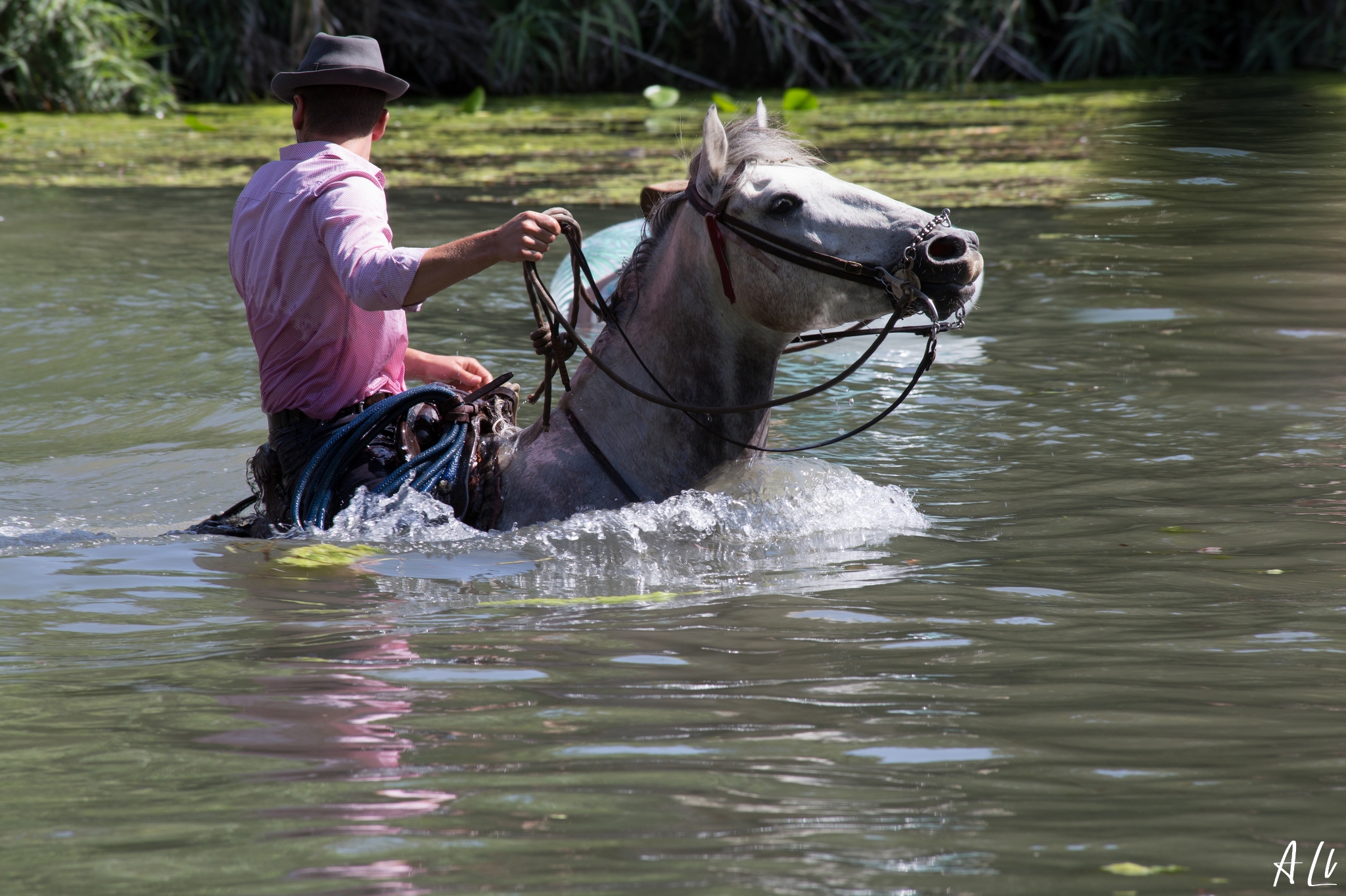 IMG 7905-2048