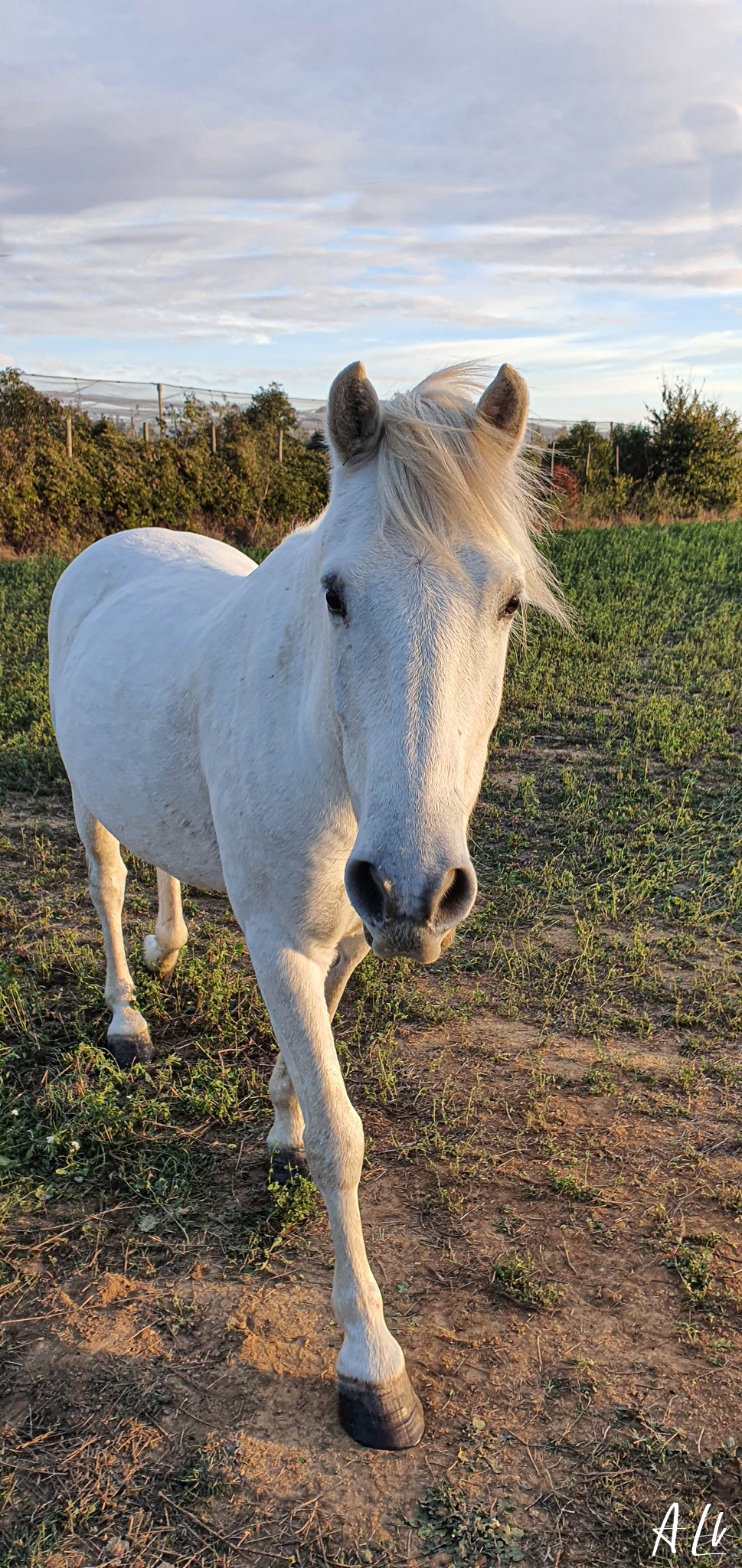 20201104 165009-8834-2048