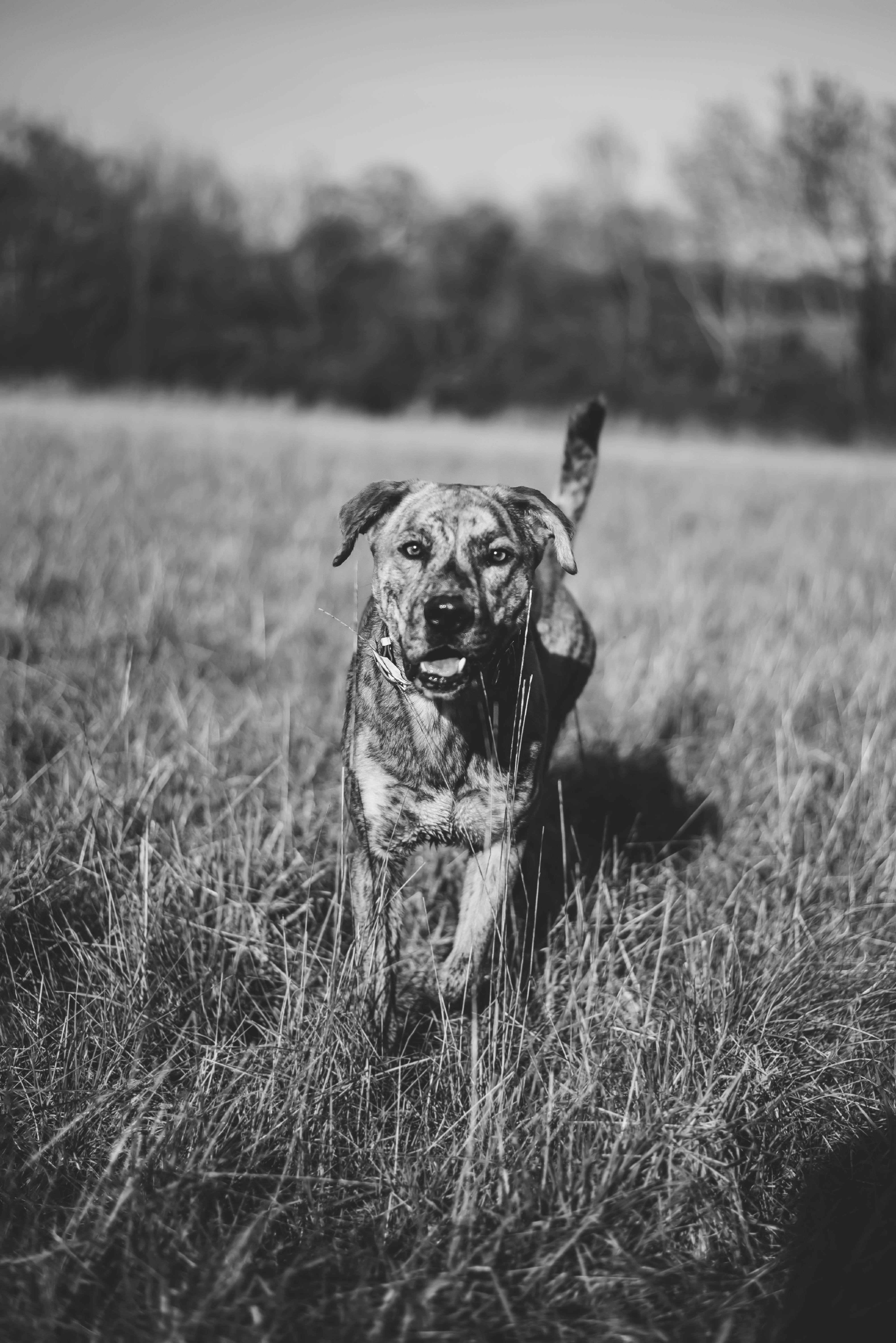 3 vilneuve studio ronan peps 15 02 25