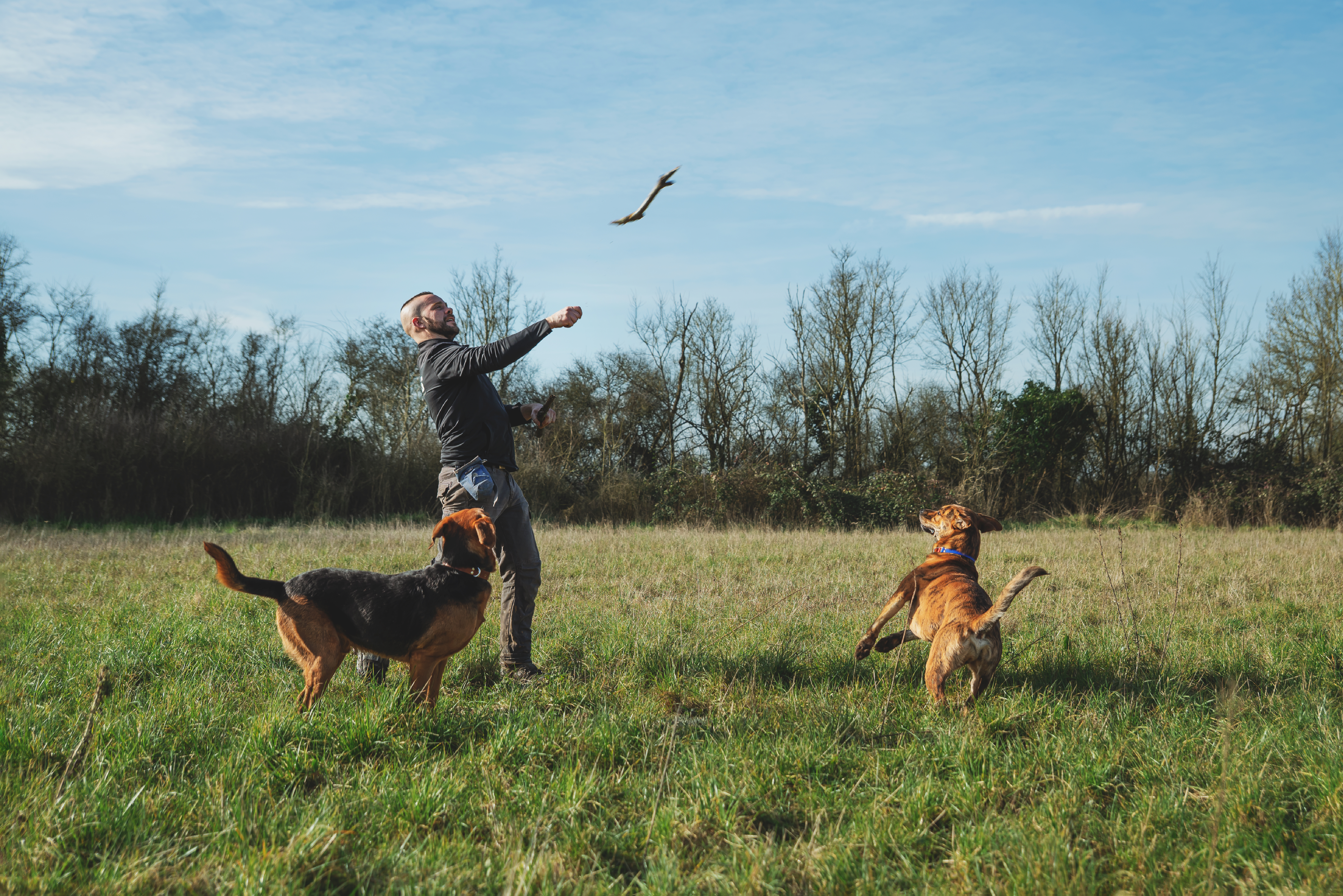 2 vilneuve studio ronan peps 15 02 25