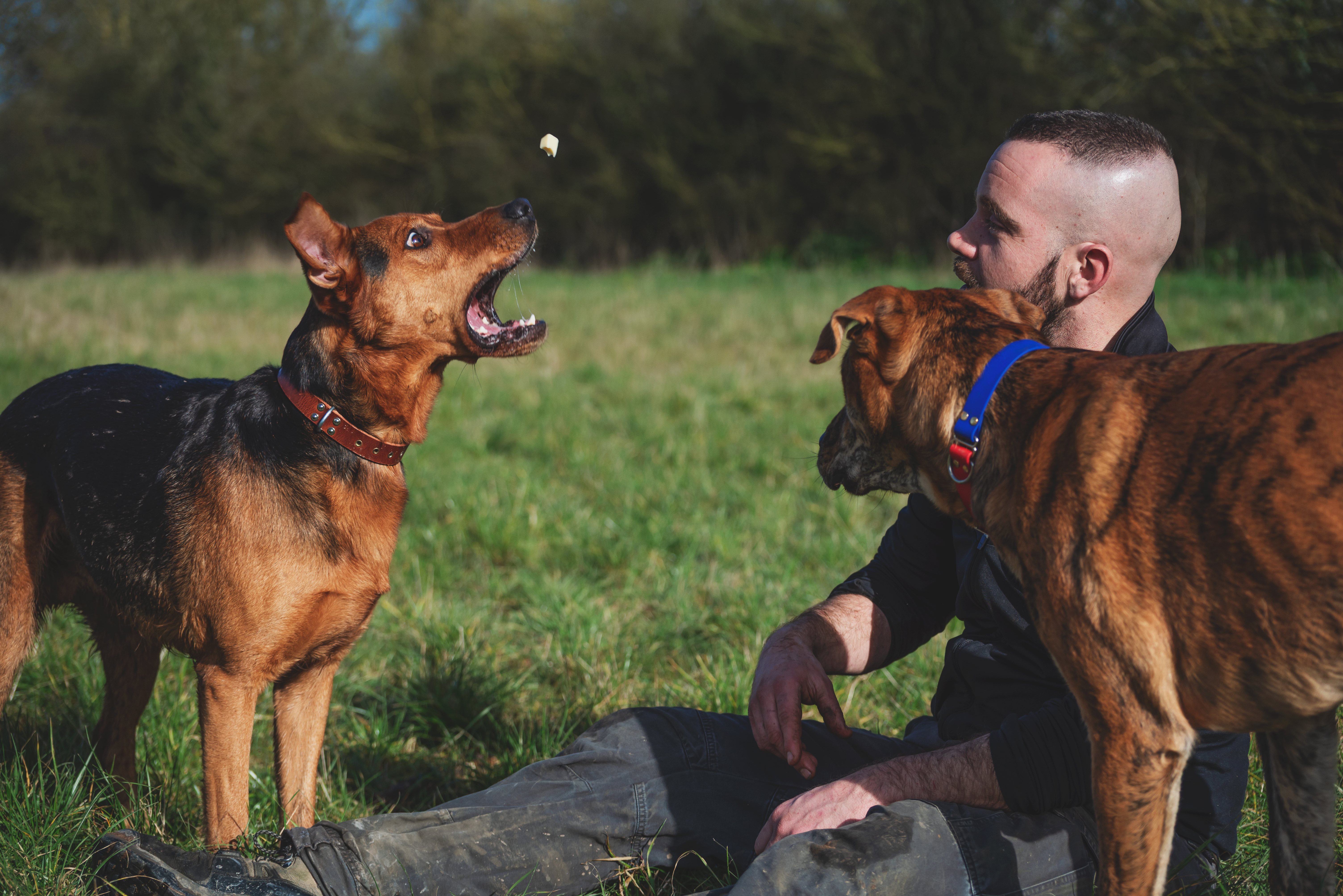 23 vilneuve studio ronan peps 15 02 25