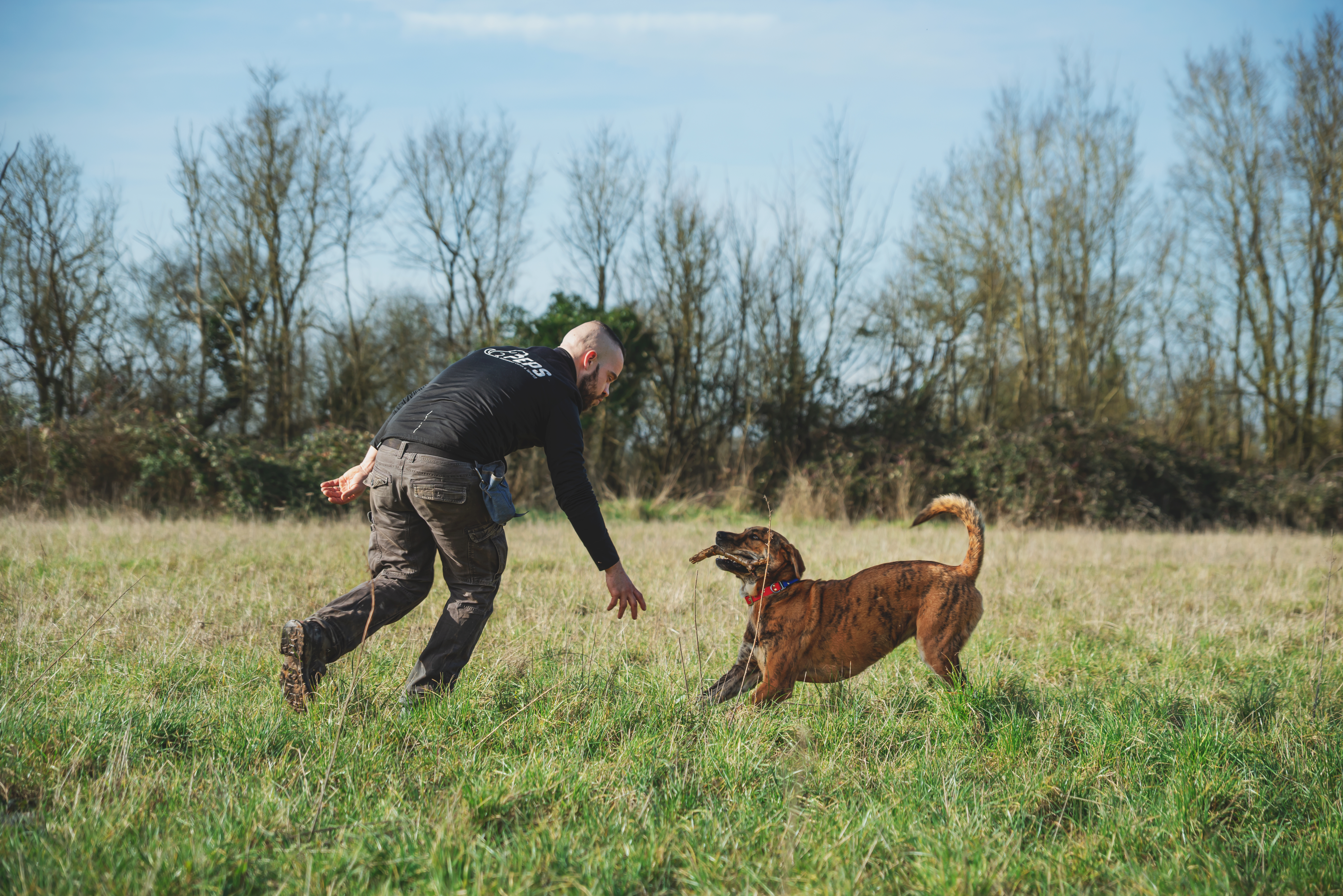 20 vilneuve studio ronan peps 15 02 25