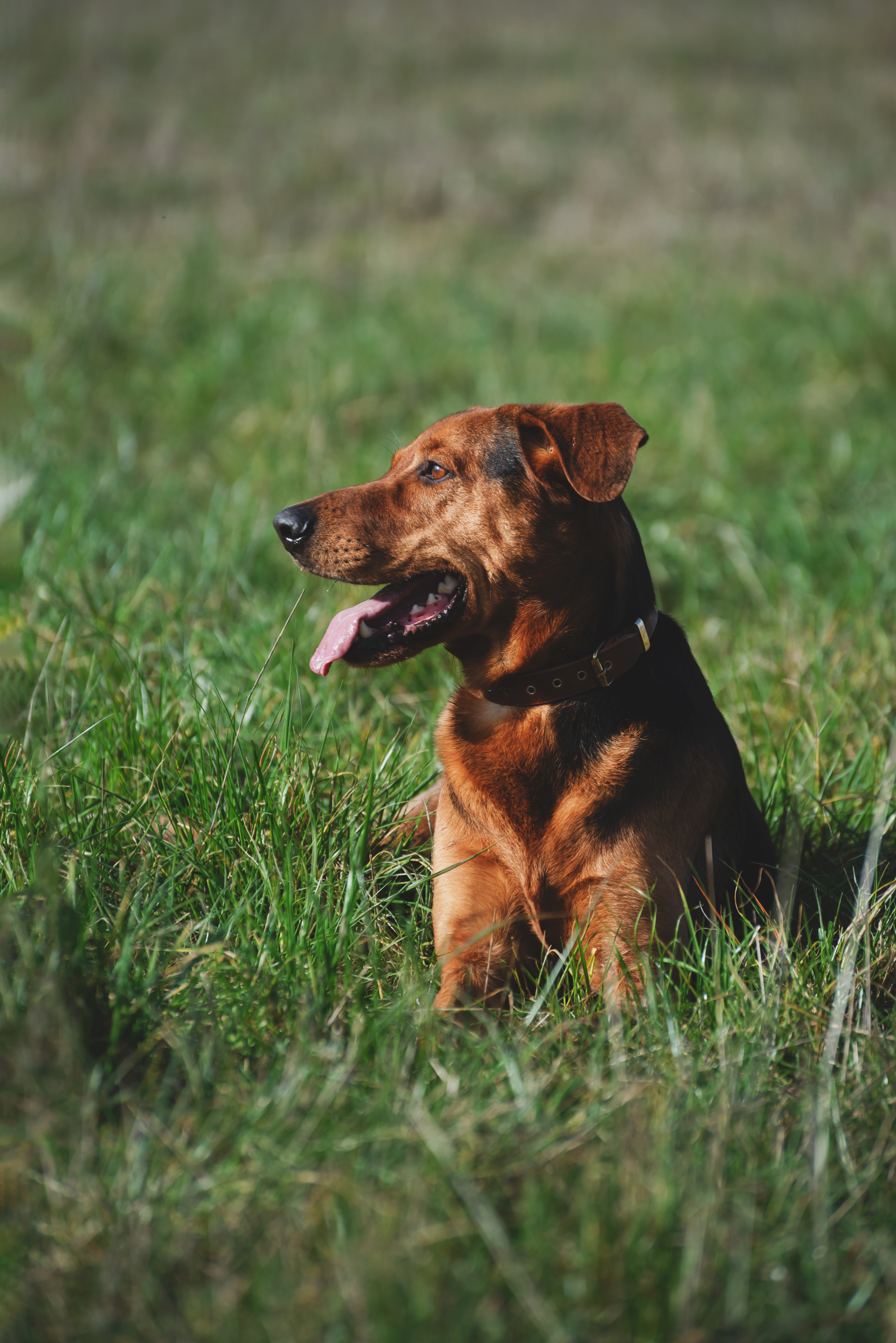 43 vilneuve studio ronan peps 15 02 25