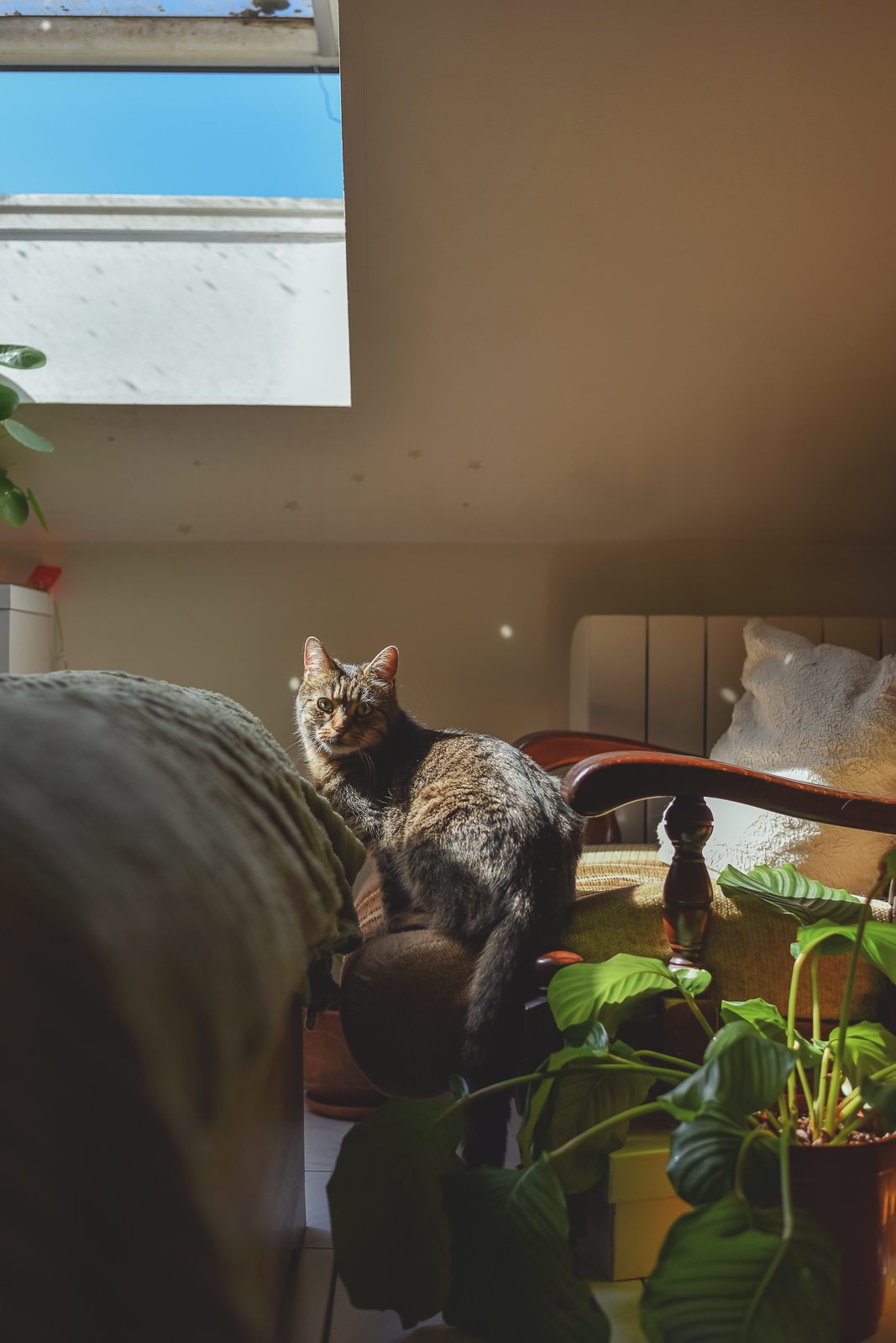 Web elori guiseppe 03 05 25 vilneuve studio  18