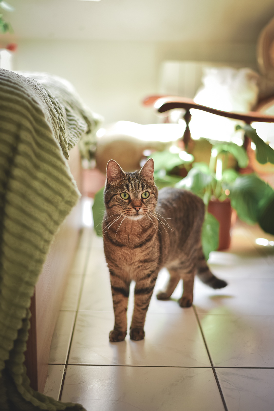 Web elori guiseppe 03 05 25 vilneuve studio  16