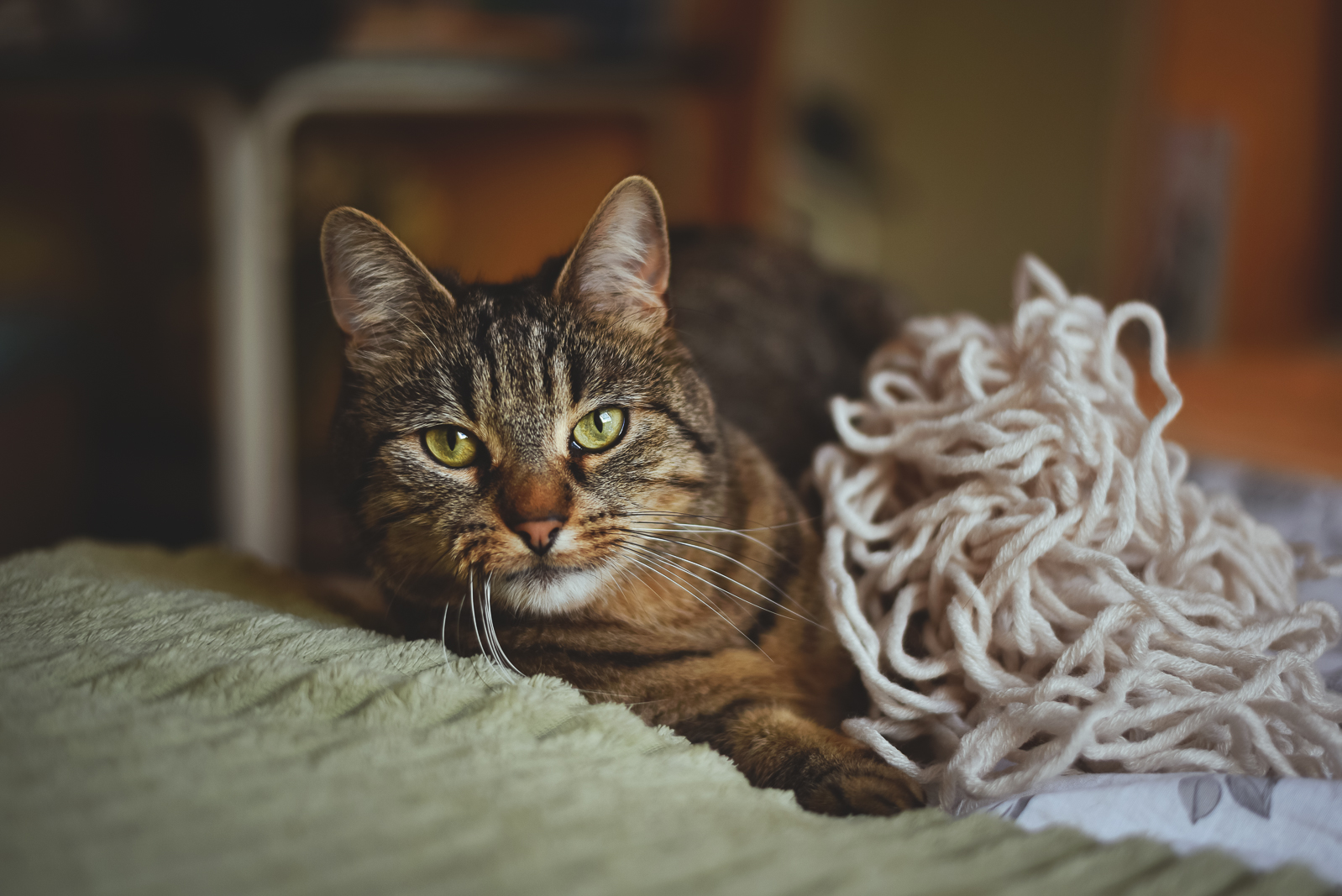 Web elori guiseppe 03 05 25 vilneuve studio  15