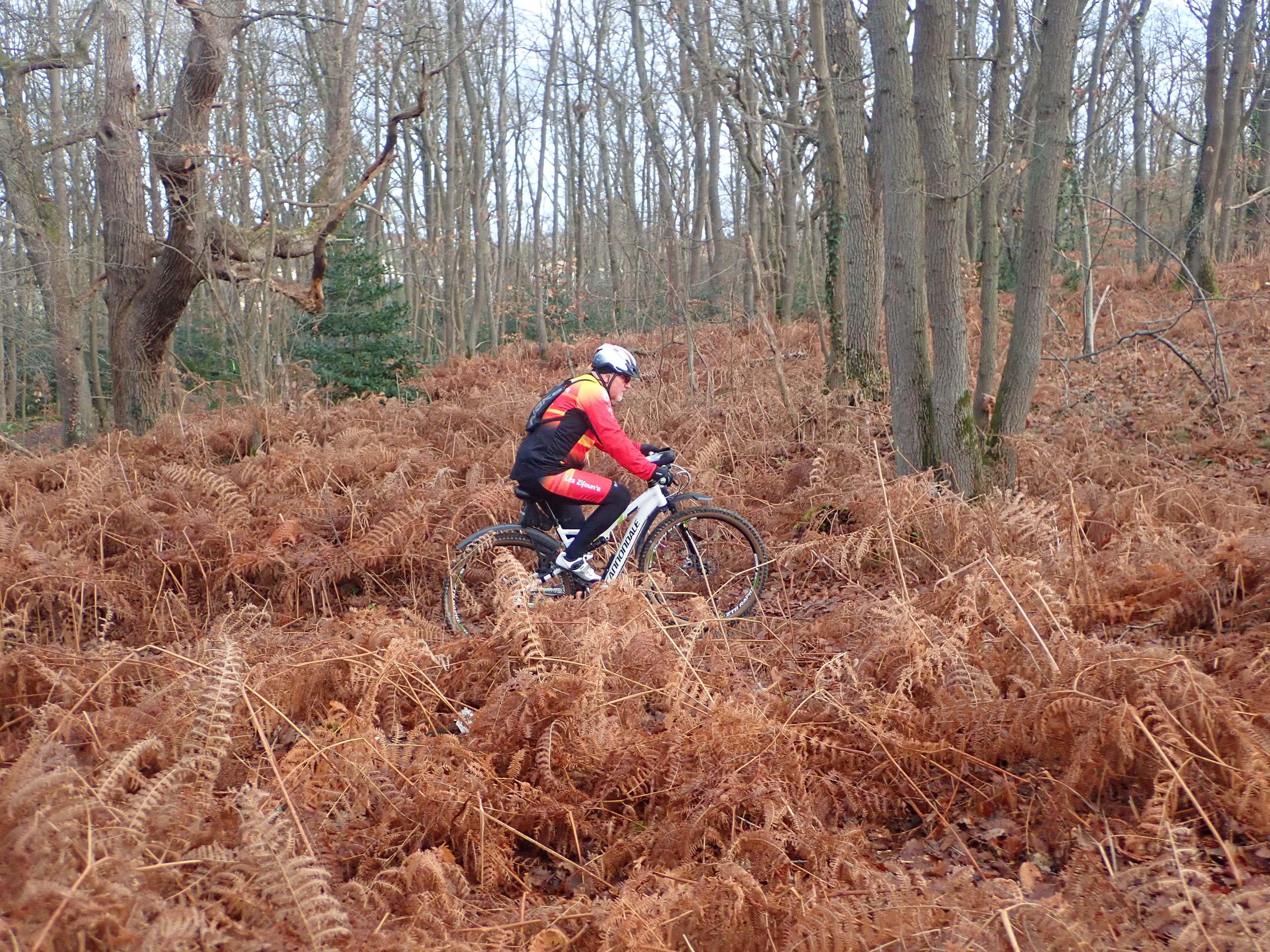 Sortie-du-18-01-2026-46-