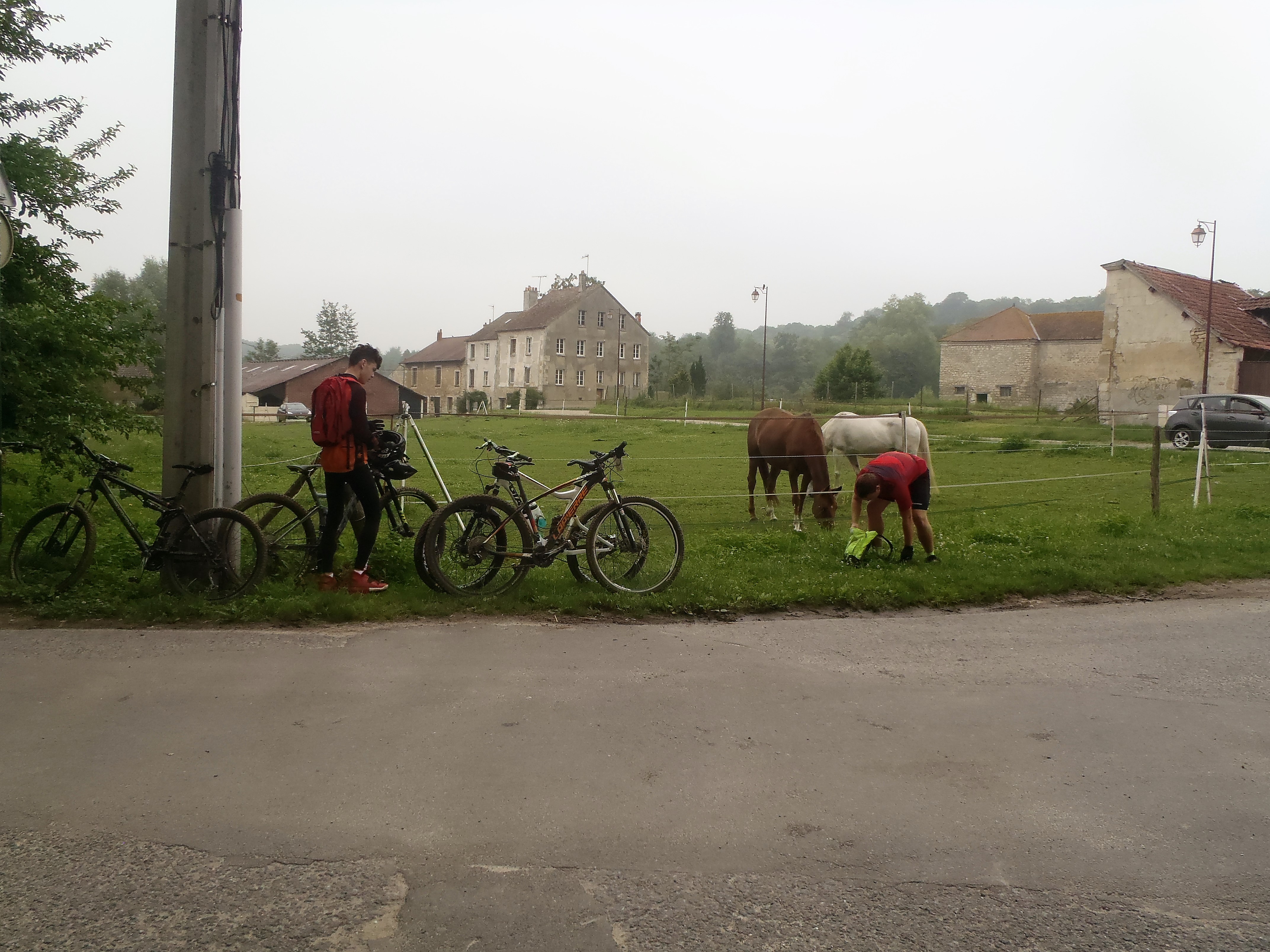La mousticienne 78 