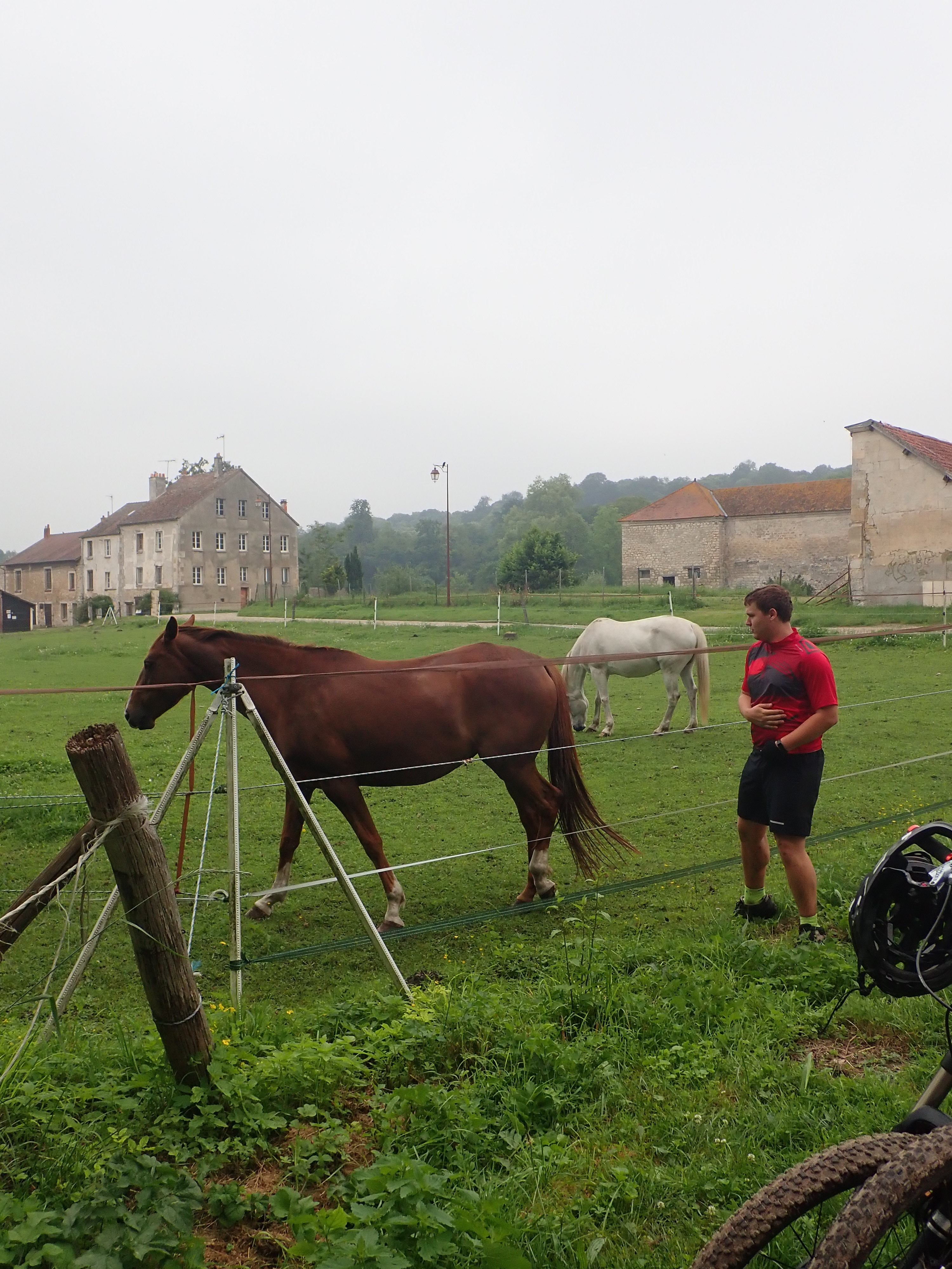 La mousticienne 81 