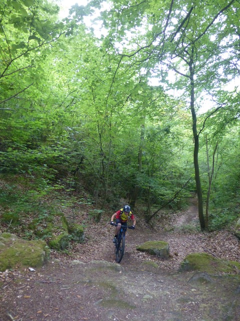 Sortie du 11 08 2019 1 