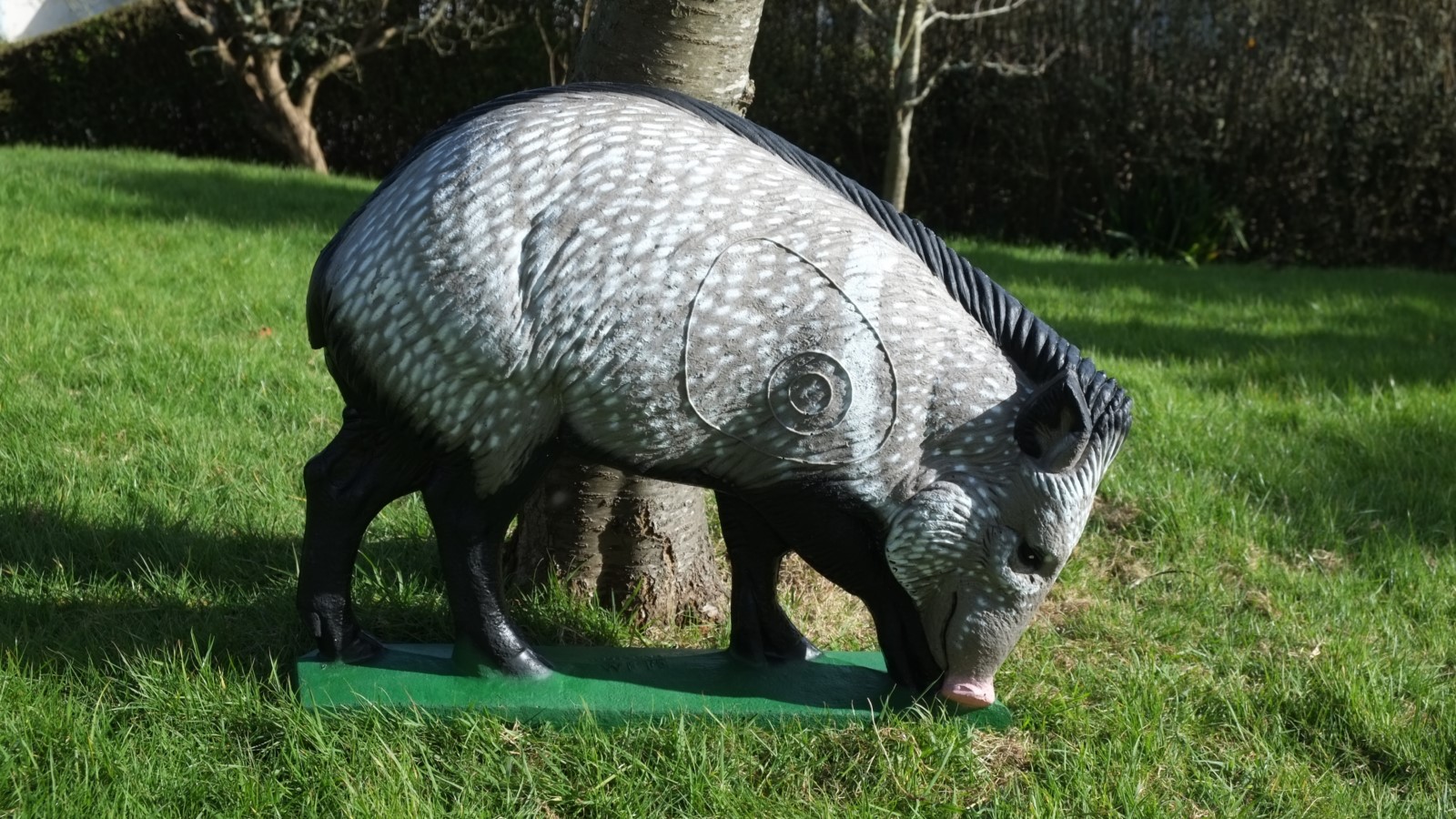 Cd50 pecari 1600x1200 