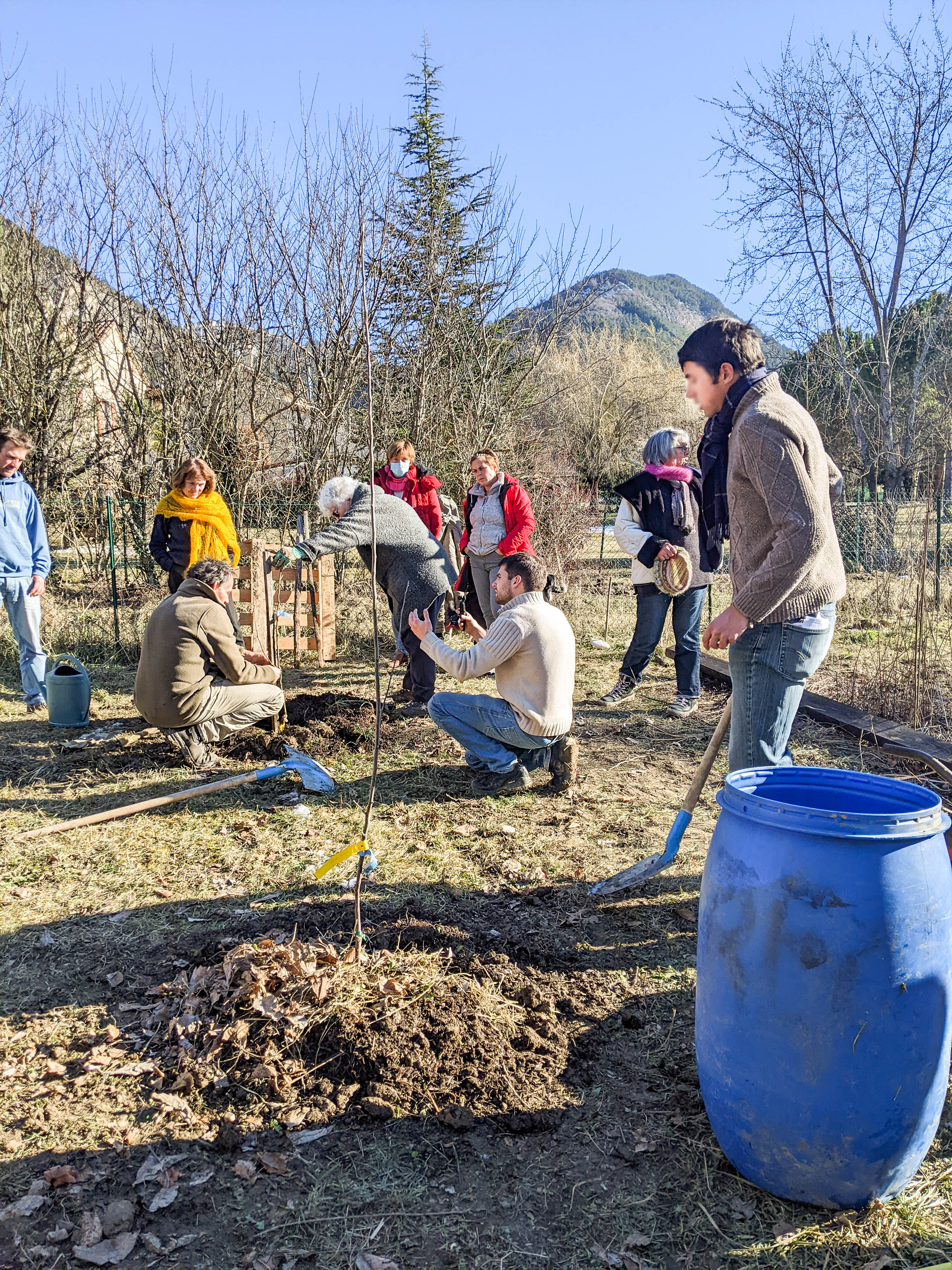 Plantation d'arbres au Barabock