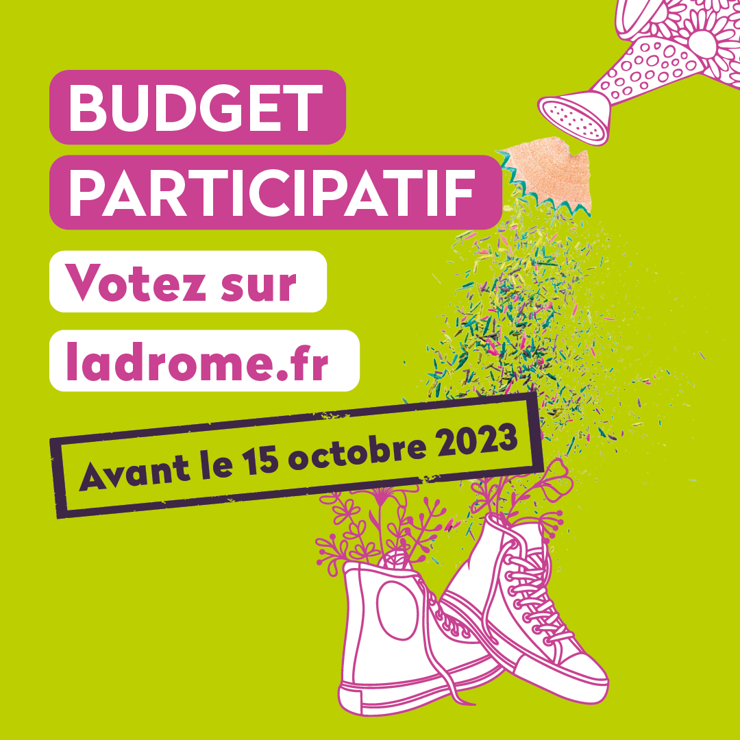 Budget participatif du département