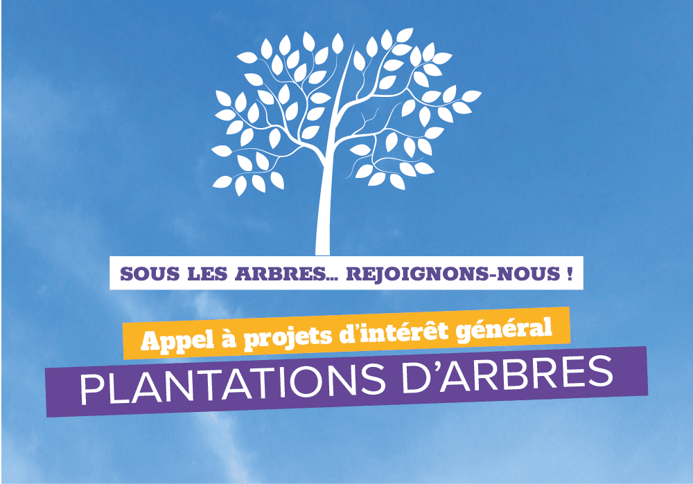 Plantations d'arbres : c'est reparti !