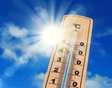 VIGILANCE CANICULE