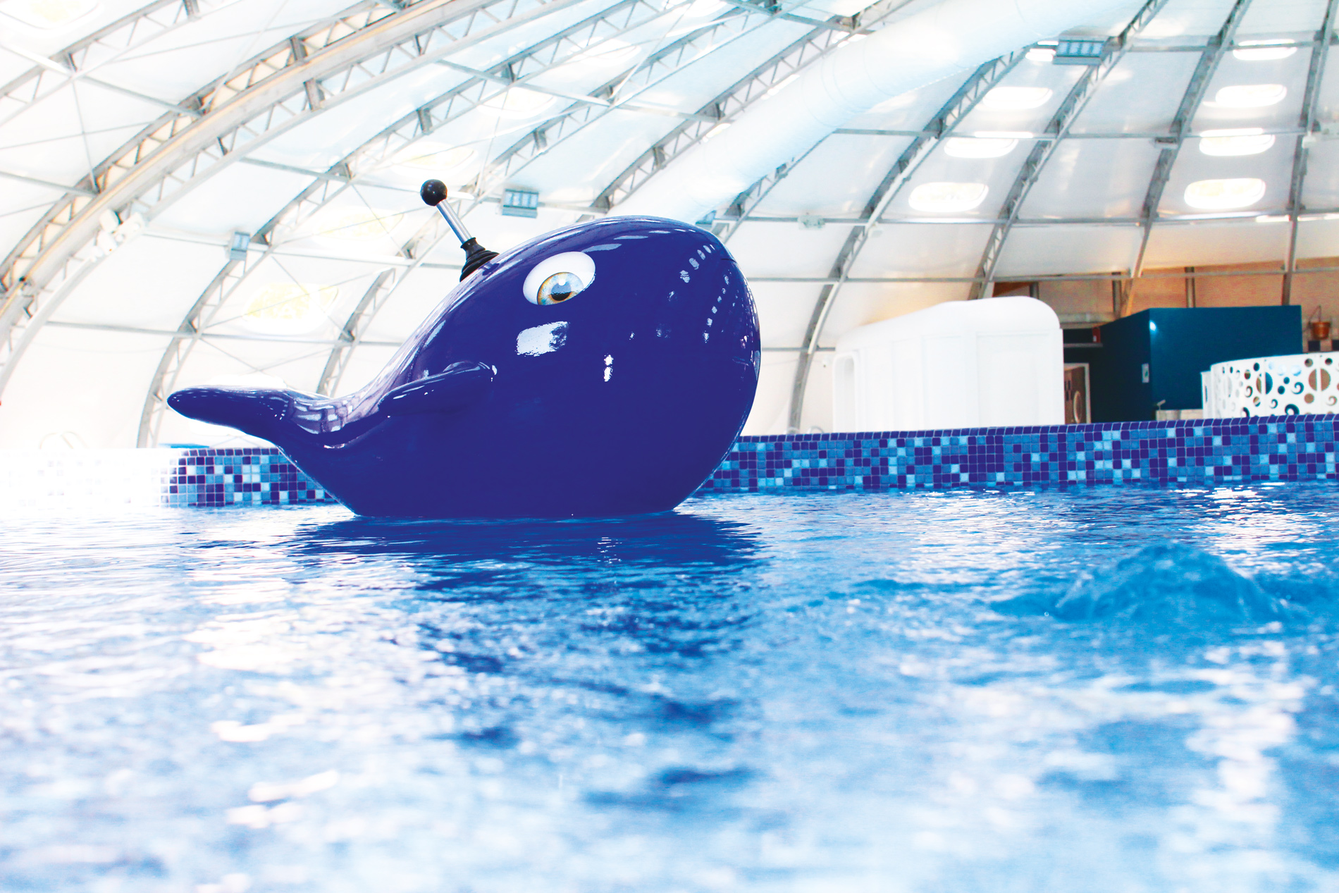 Site-chabris-piscine