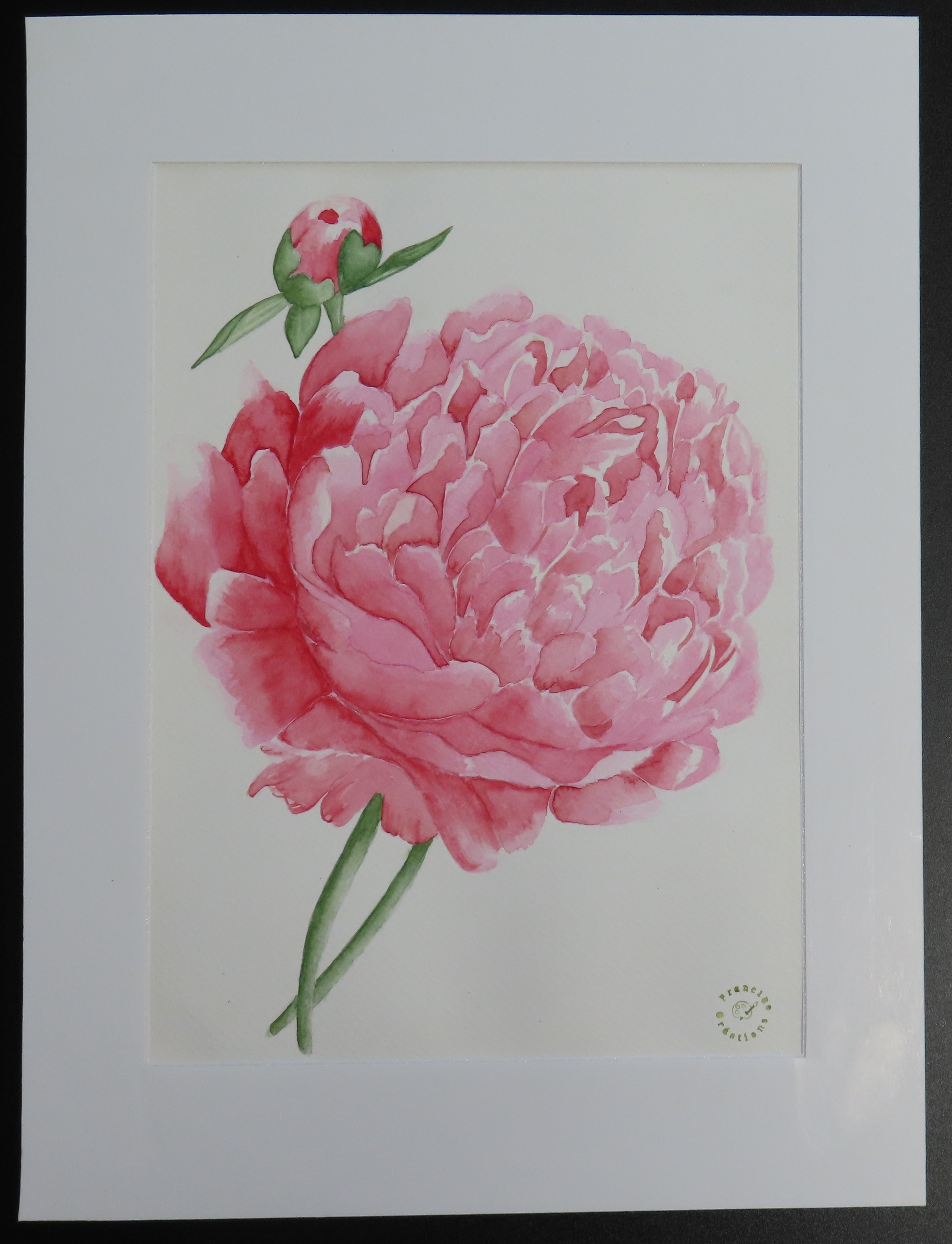 Pivoine