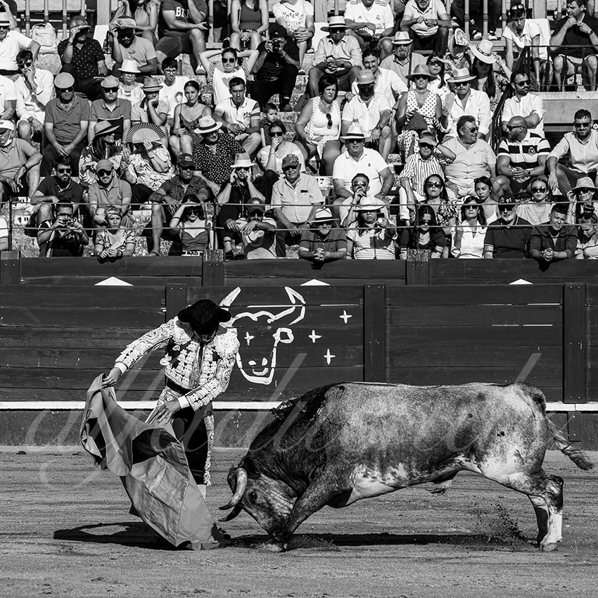 20220529 aranjuez 003