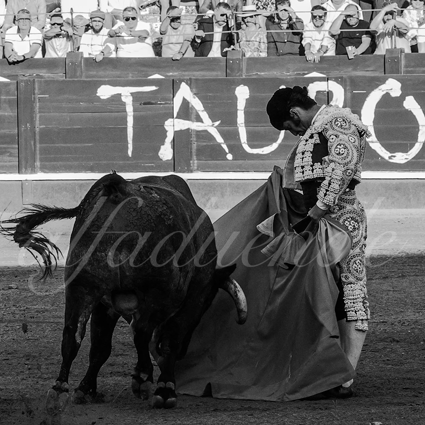 20220529 aranjuez 004