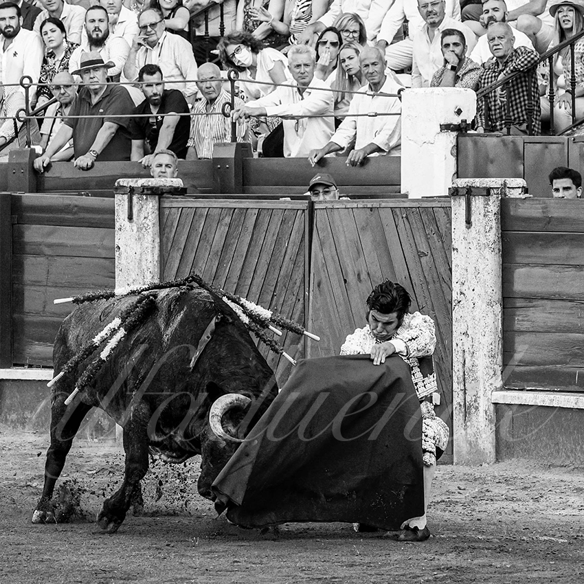 20220529 aranjuez 005