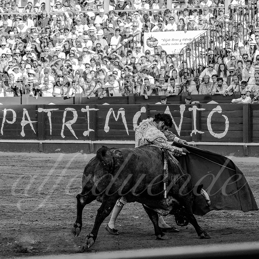 20220529 aranjuez 006