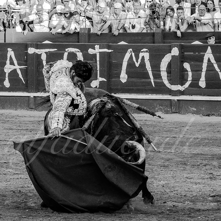 20220529 aranjuez 007