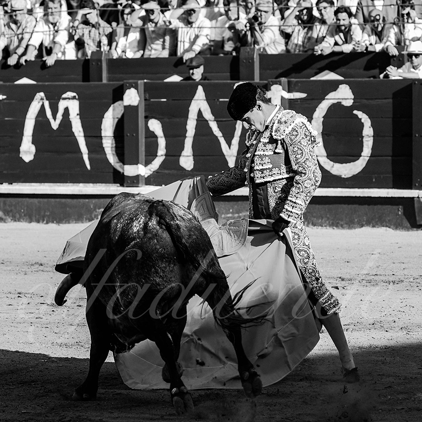 20220529 aranjuez 010