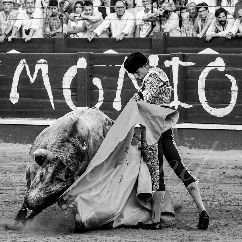 20220529 aranjuez 011