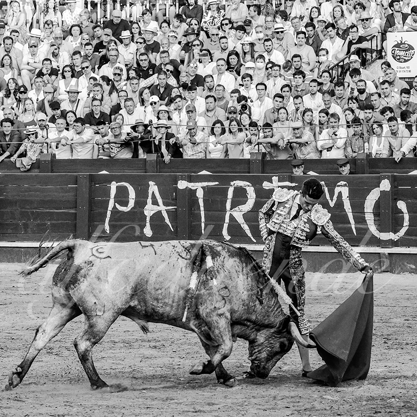 20220529 aranjuez 013