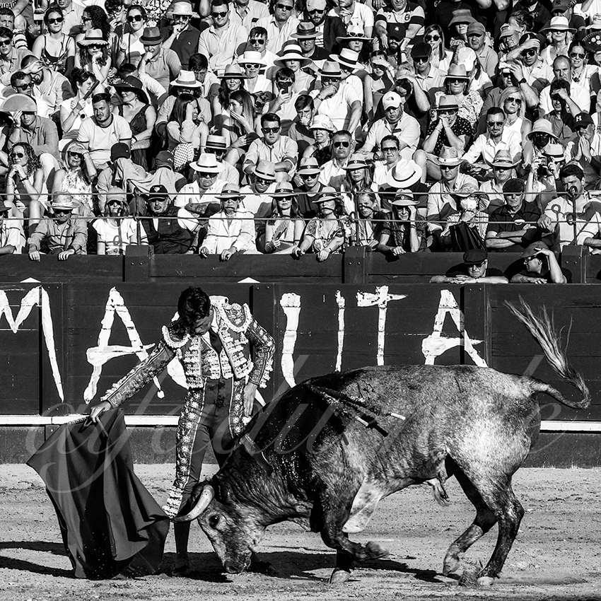 20220529 aranjuez 017