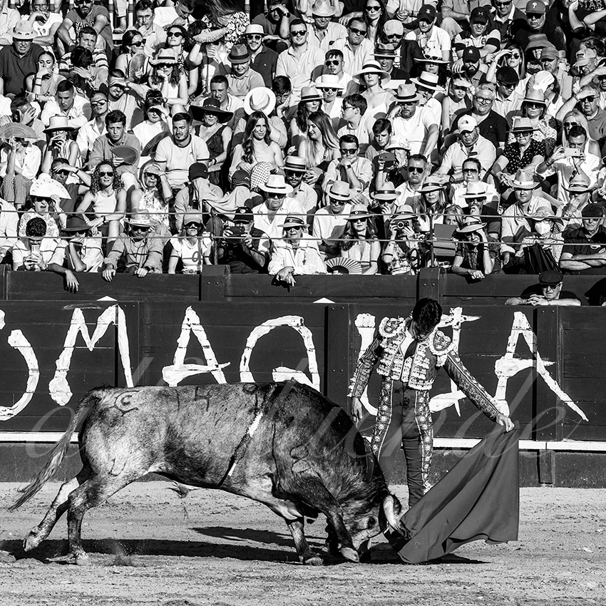 20220529 aranjuez 018