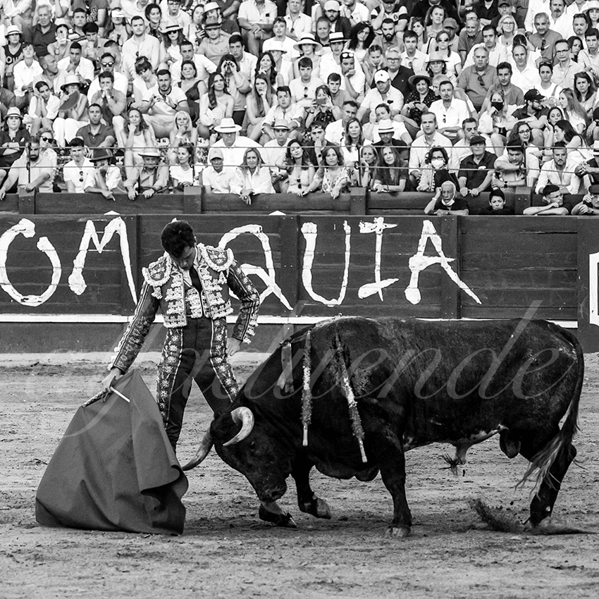 20220529 aranjuez 019